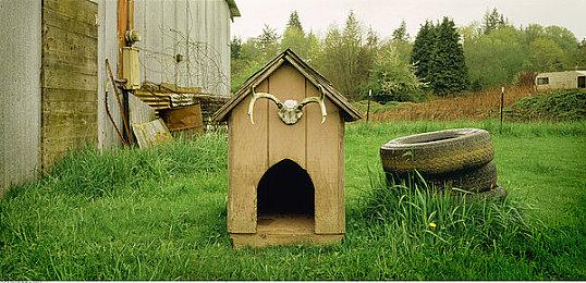 科学解谜《东京都市谜案特搜事件簿》体验版上线PS＆steam